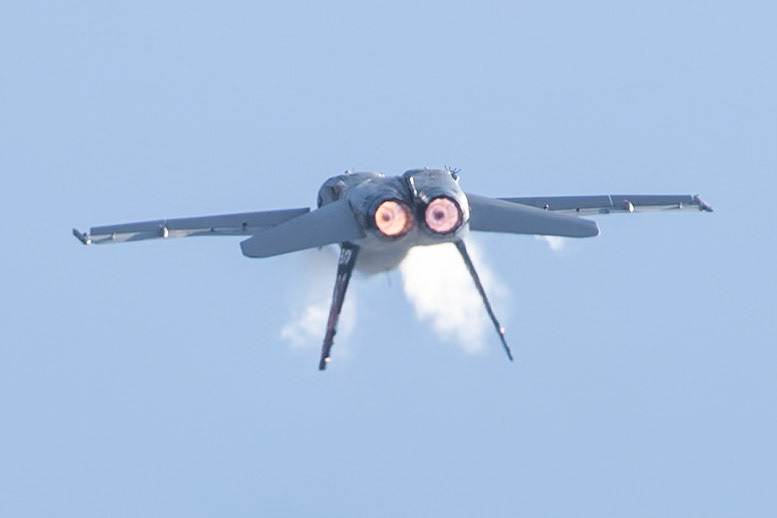 © 2022 Billy Hodgkins Photography All rights reserved.