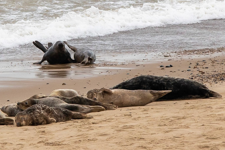 © 2021 Billy Hodgkins Photography All rights reserved.