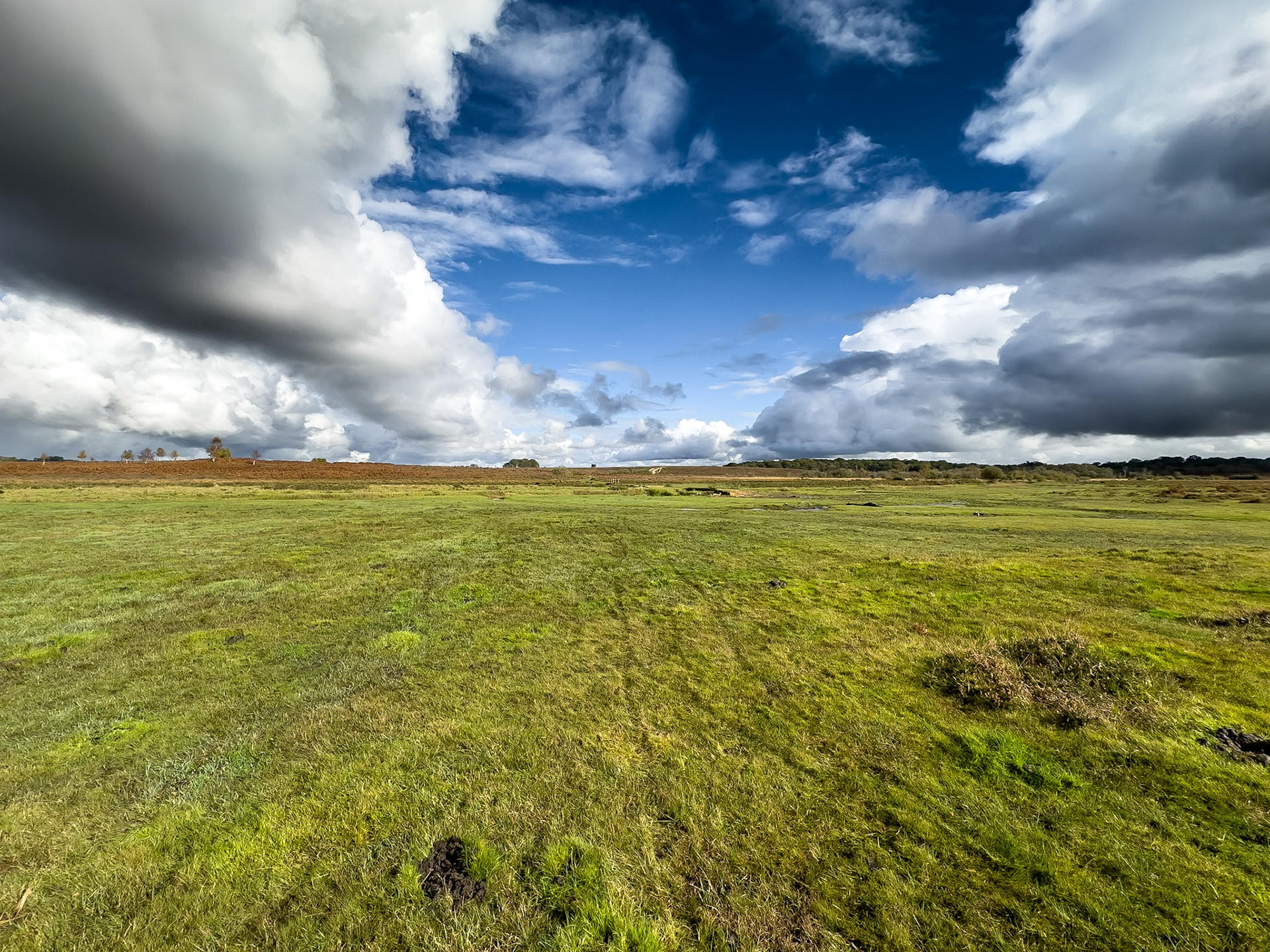 © 2023 Billy Hodgkins Photography All rights reserved.