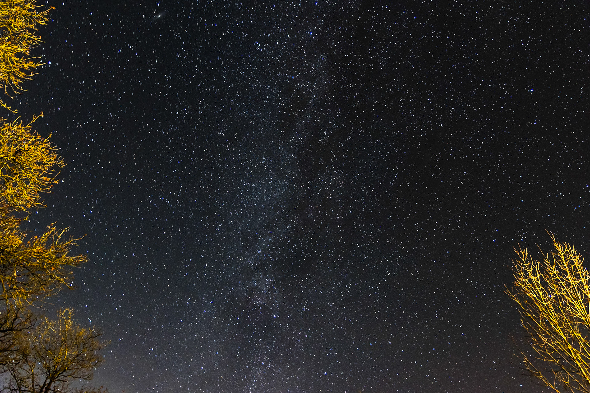 © 2023 Billy Hodgkins Photography All rights reserved.