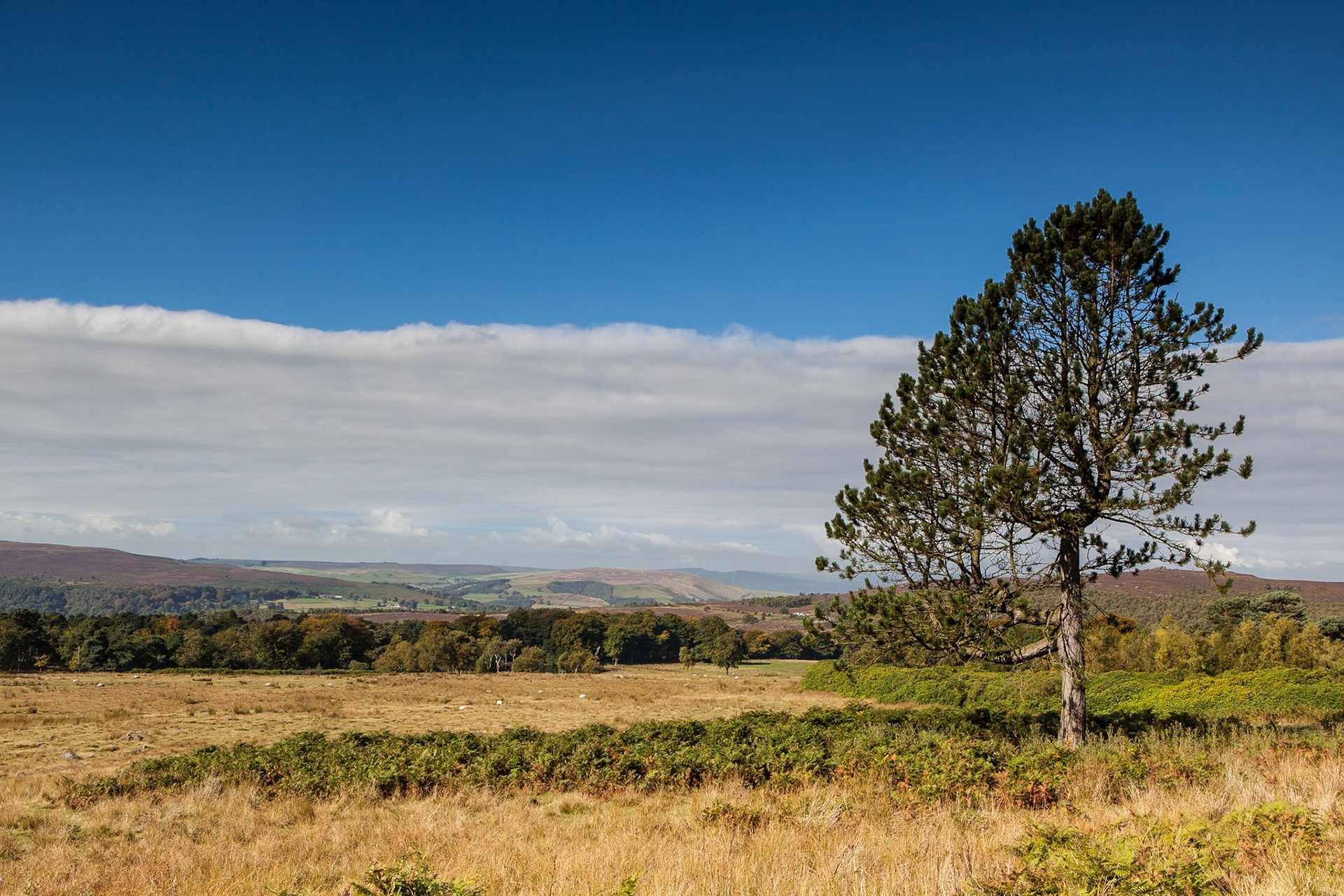 © 2015 Billy Hodgkins Photography All rights reserved.