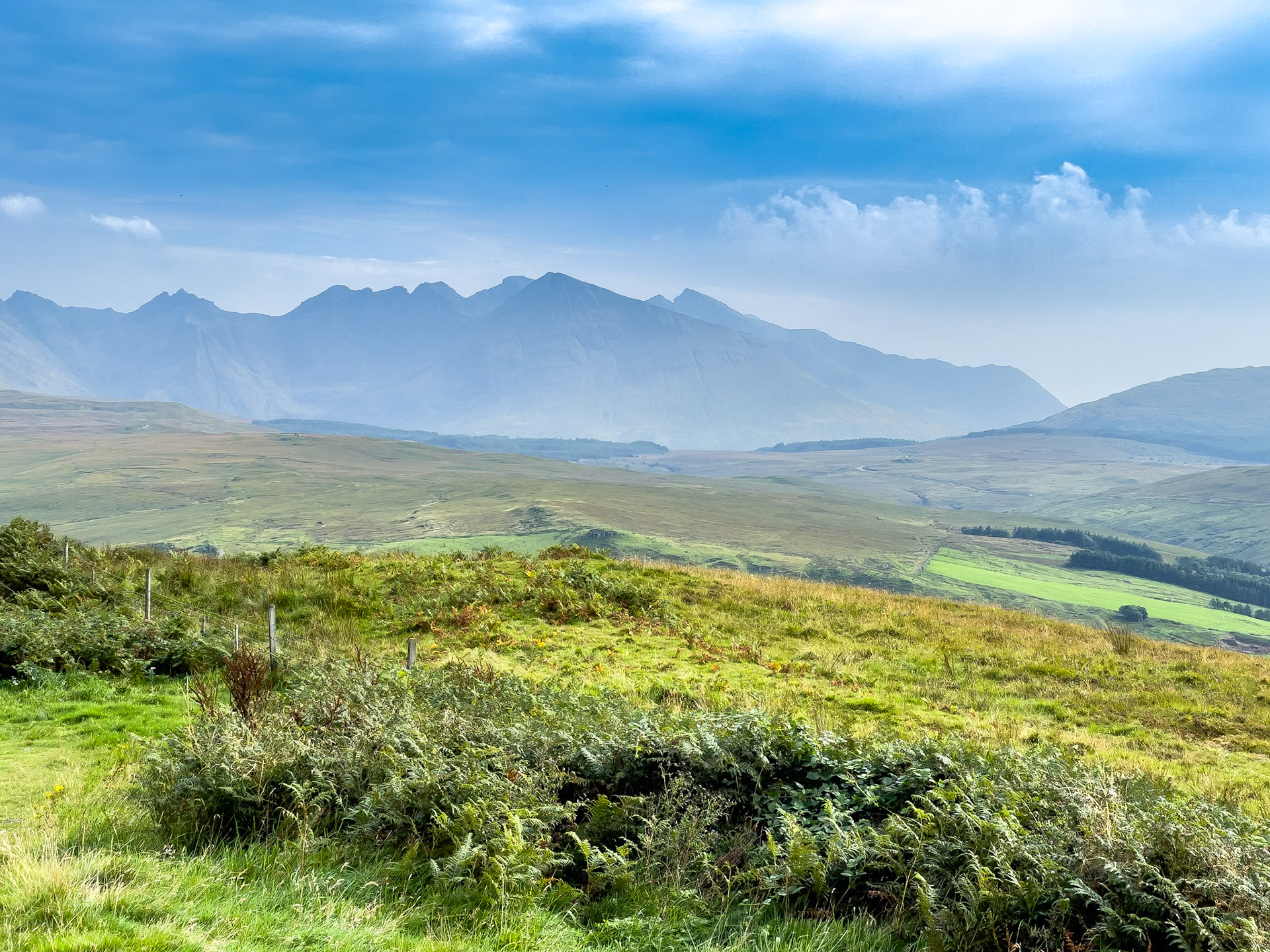 © 2021 Billy Hodgkins Photography All rights reserved.