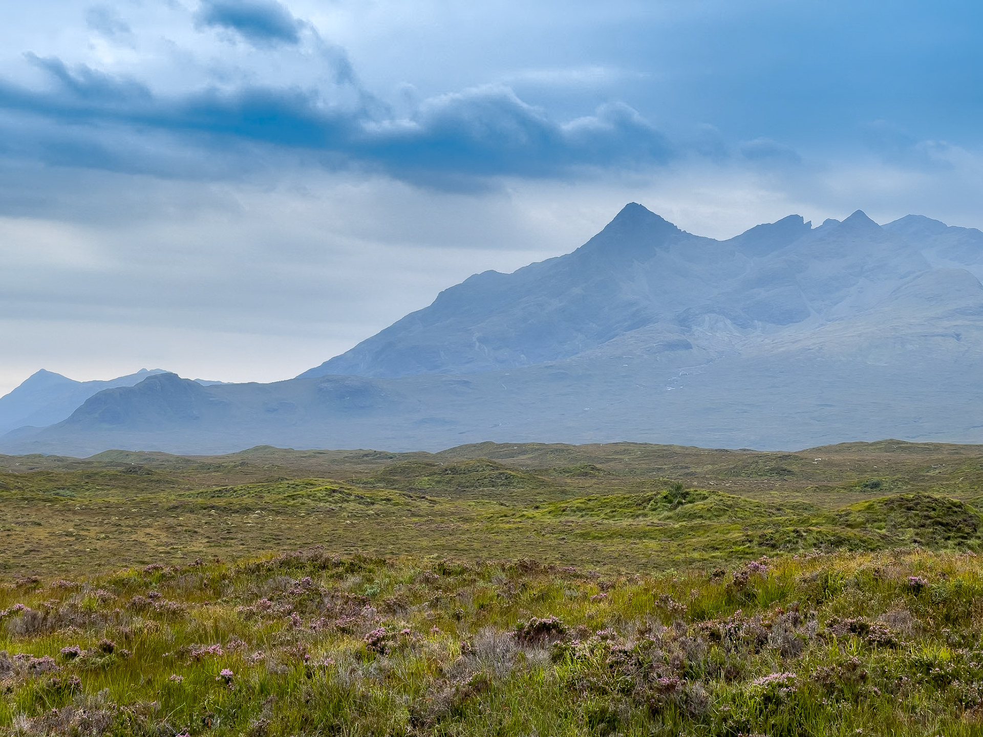 © 2021 Billy Hodgkins Photography All rights reserved.