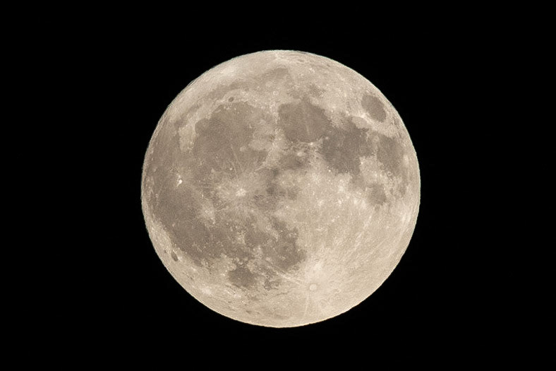 © 2023 Billy Hodgkins Photography All rights reserved.