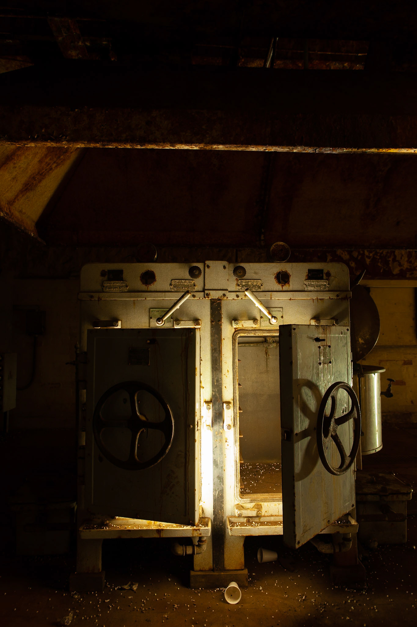 © 2019 Billy Hodgkins Photography All rights reserved.