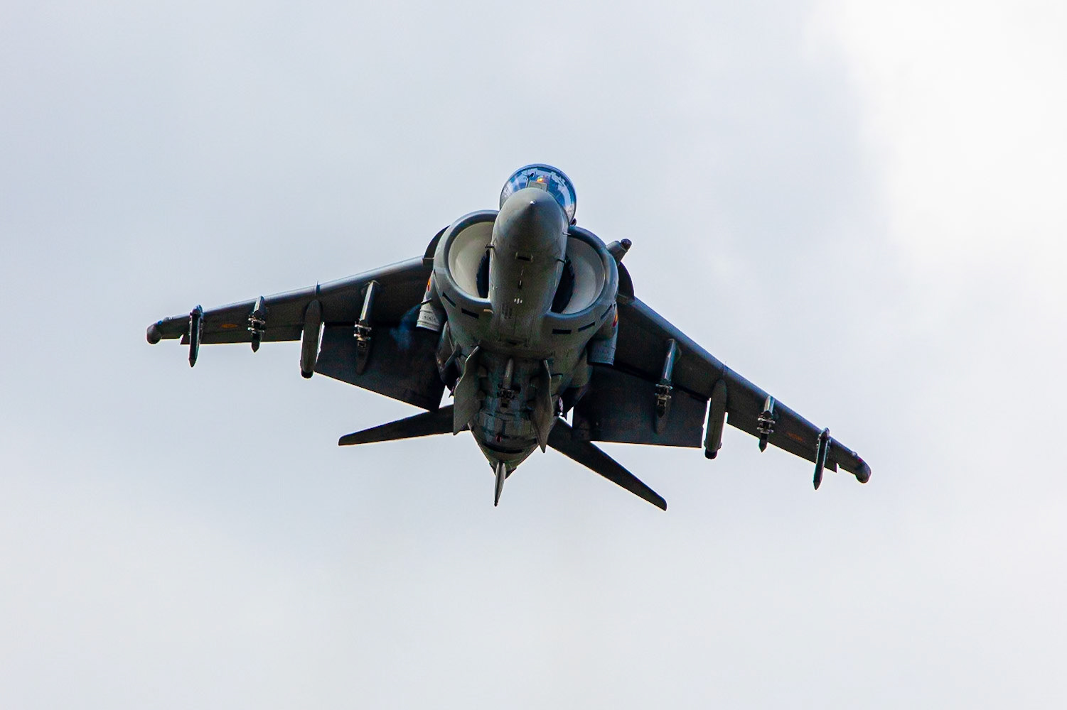 © 2019 Billy Hodgkins Photography All rights reserved.