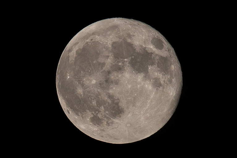 © 2021 Billy Hodgkins Photography All rights reserved.