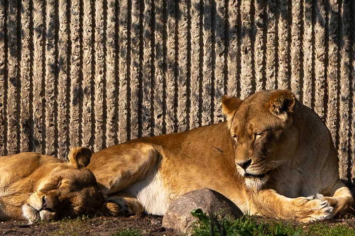 © 2023 Billy Hodgkins Photography All rights reserved.