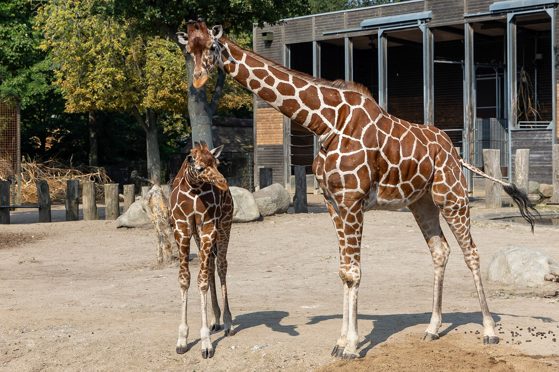 © 2023 Billy Hodgkins Photography All rights reserved.