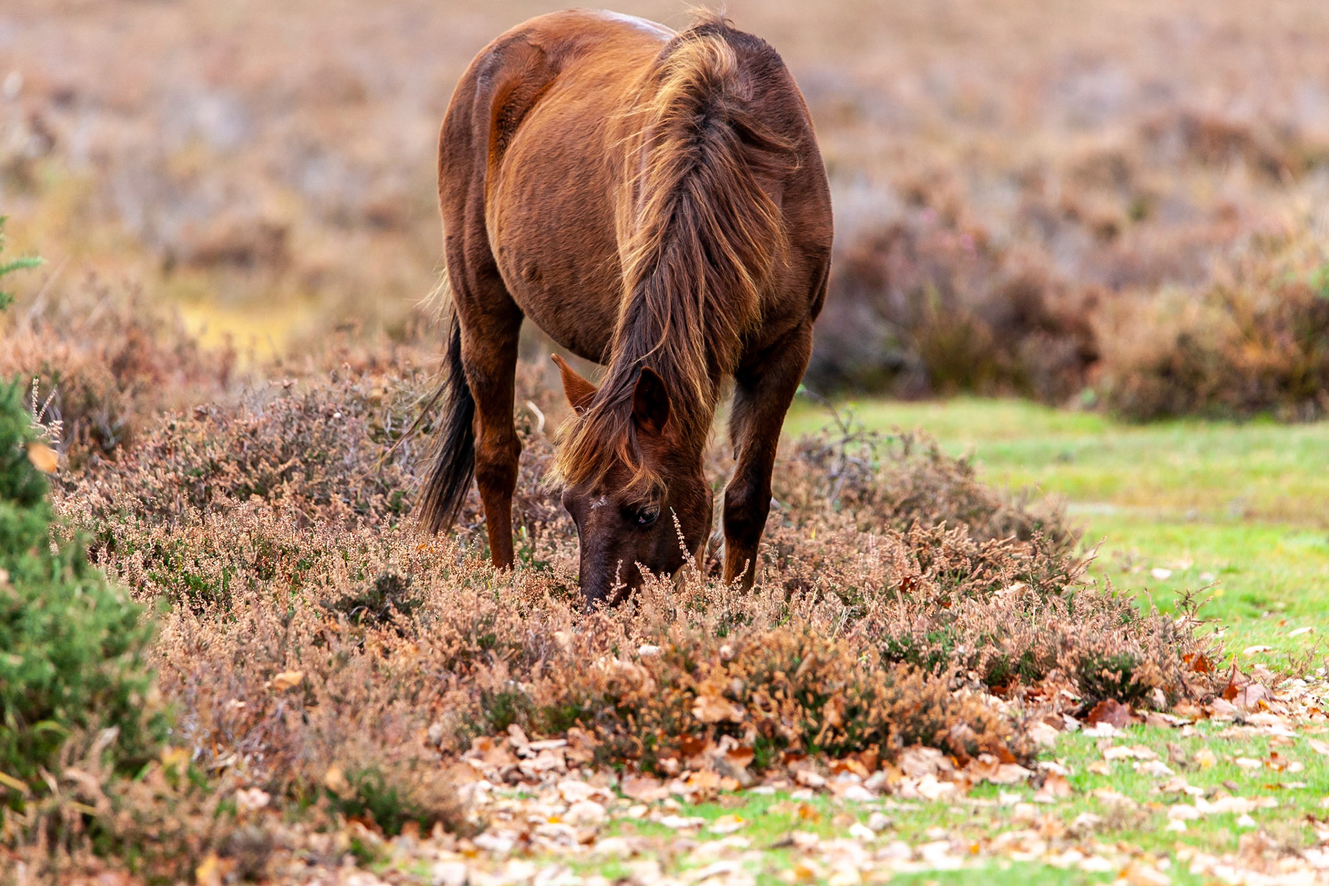 © 2020 Billy Hodgkins Photography All rights reserved.