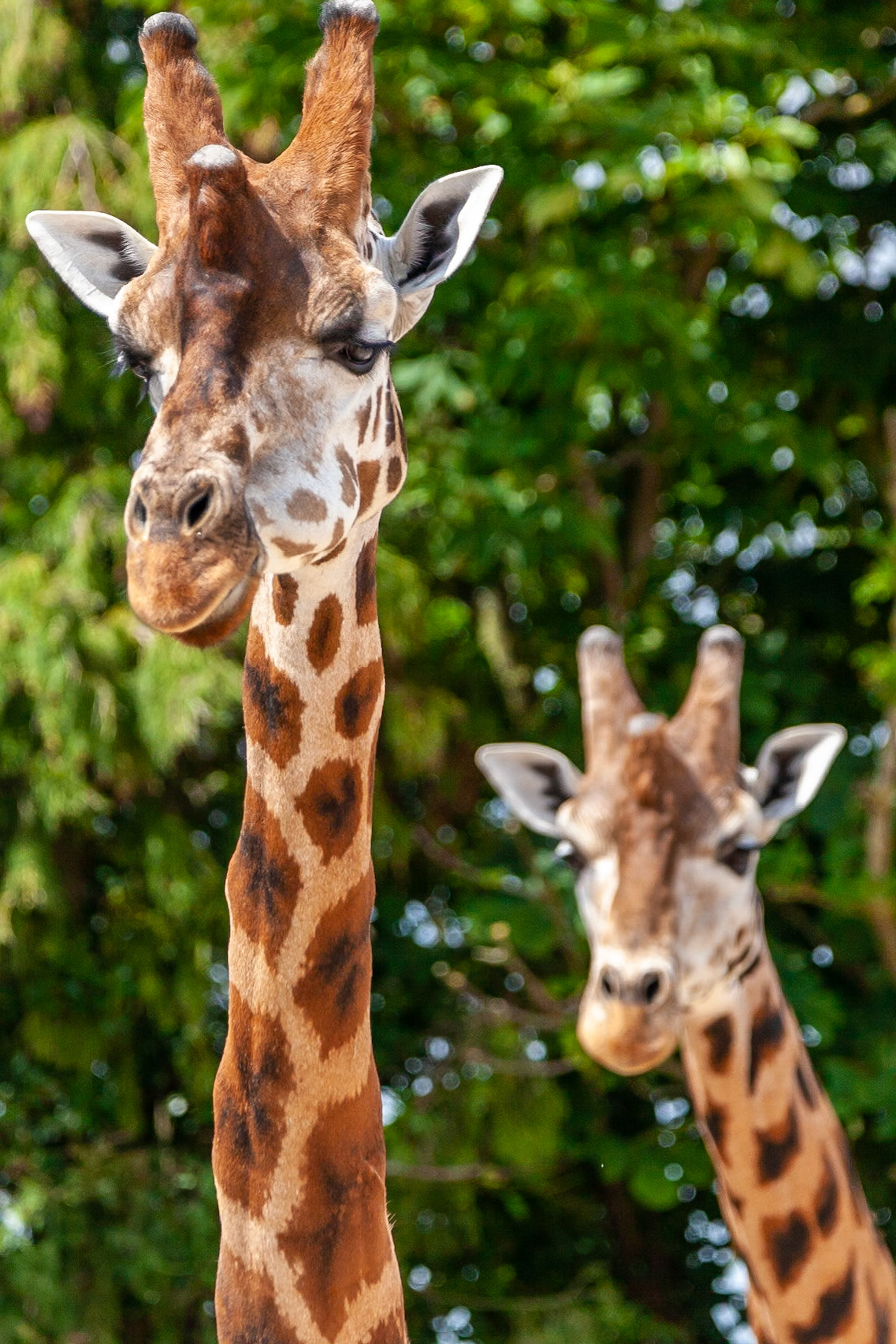 © 2020 Billy Hodgkins Photography All rights reserved.