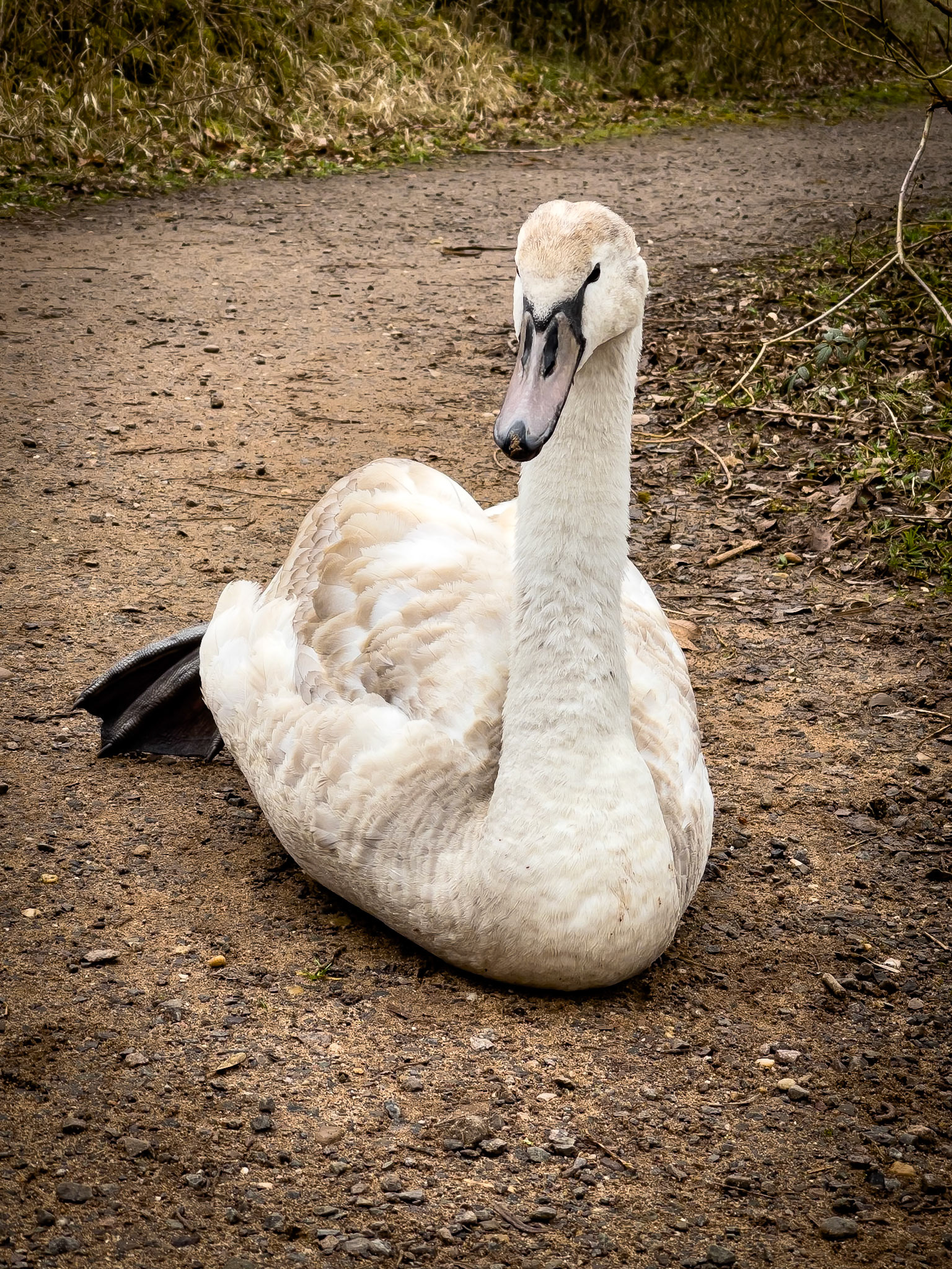 © 2021 Billy Hodgkins Photography All rights reserved.