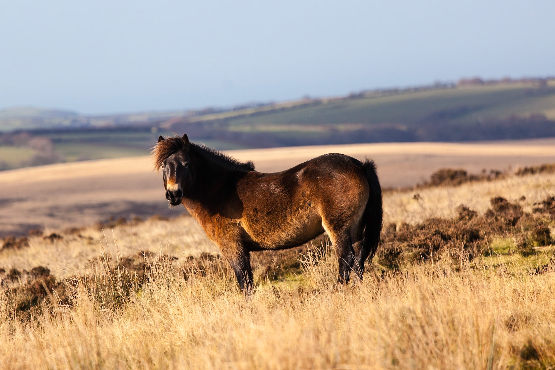 © 2016 Billy Hodgkins Photography All rights reserved.