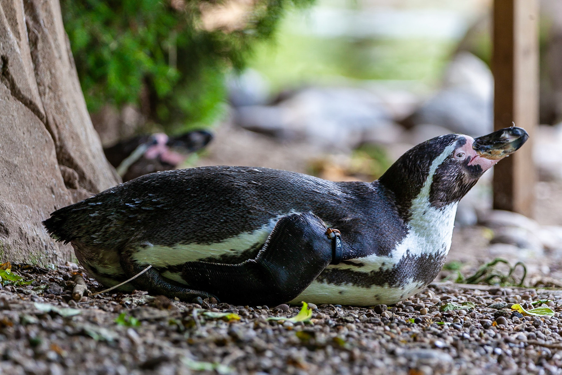 © 2020 Billy Hodgkins Photography All rights reserved.