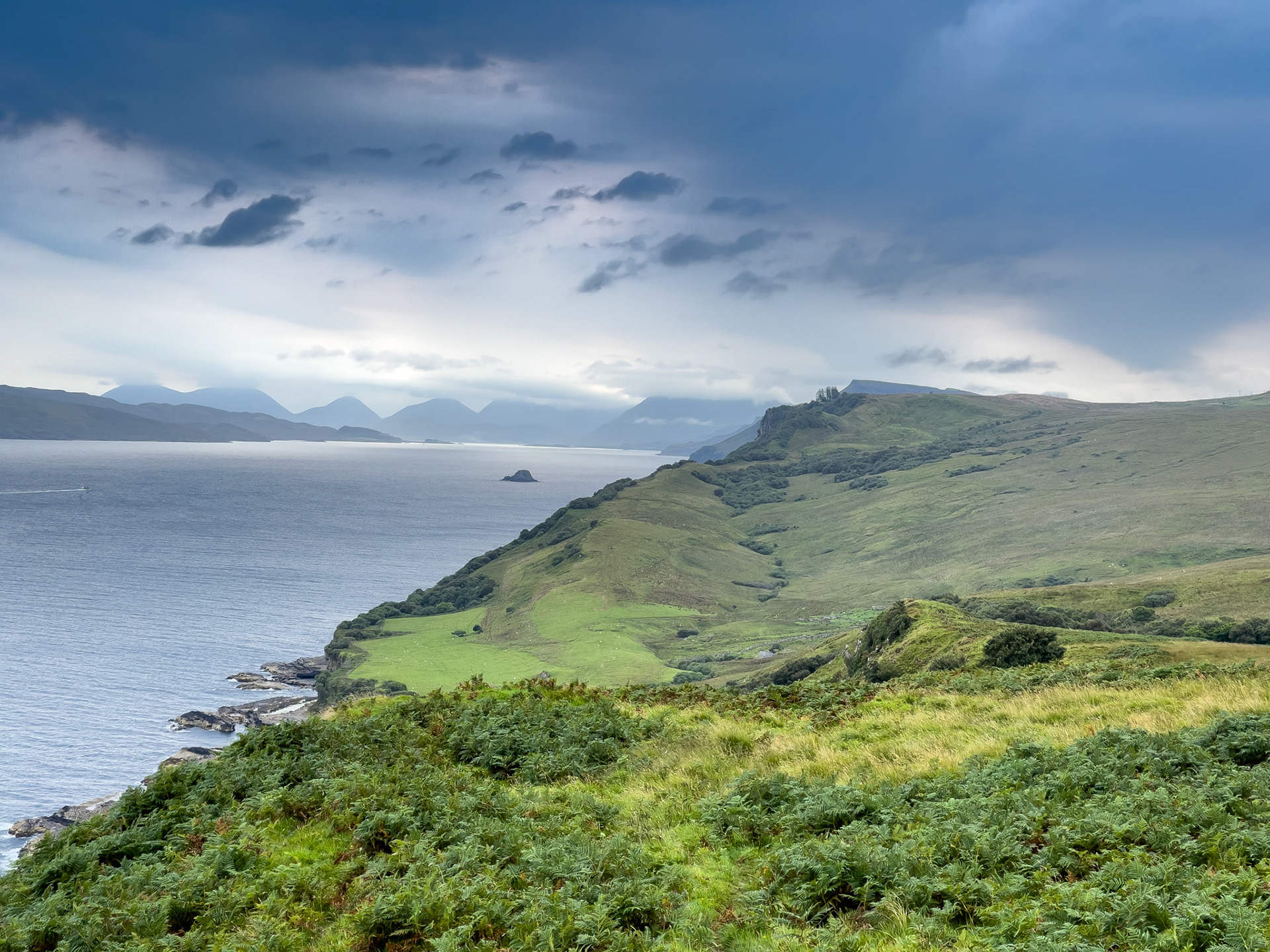 © 2021 Billy Hodgkins Photography All rights reserved.