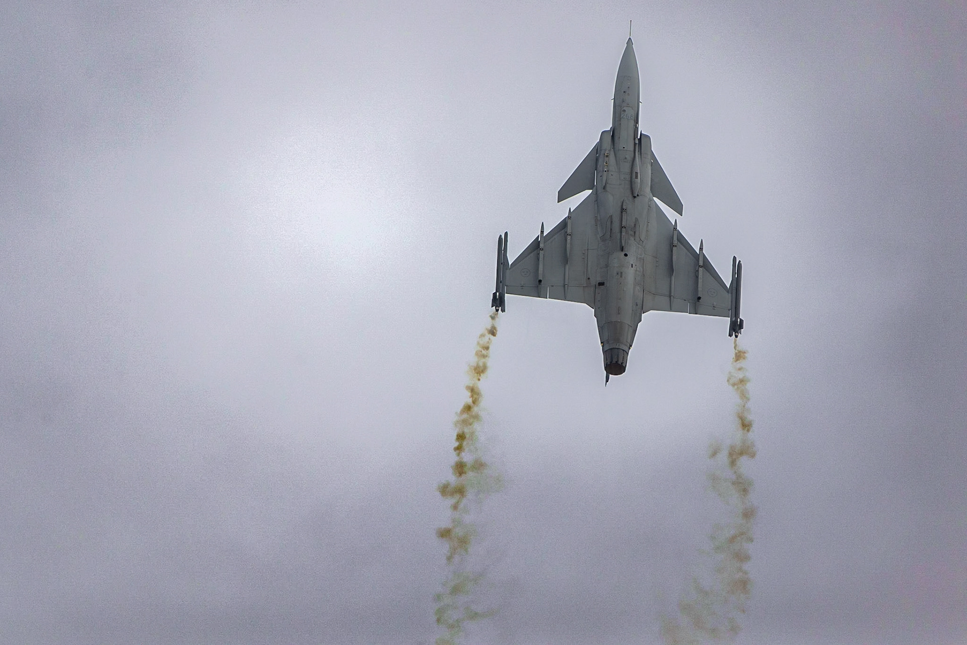 © 2023 Billy Hodgkins Photography All rights reserved.