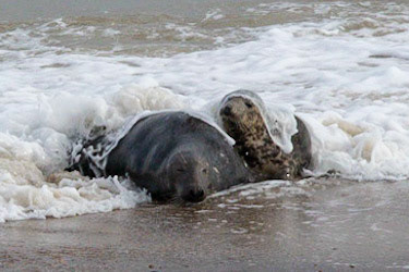 © 2021 Billy Hodgkins Photography All rights reserved.