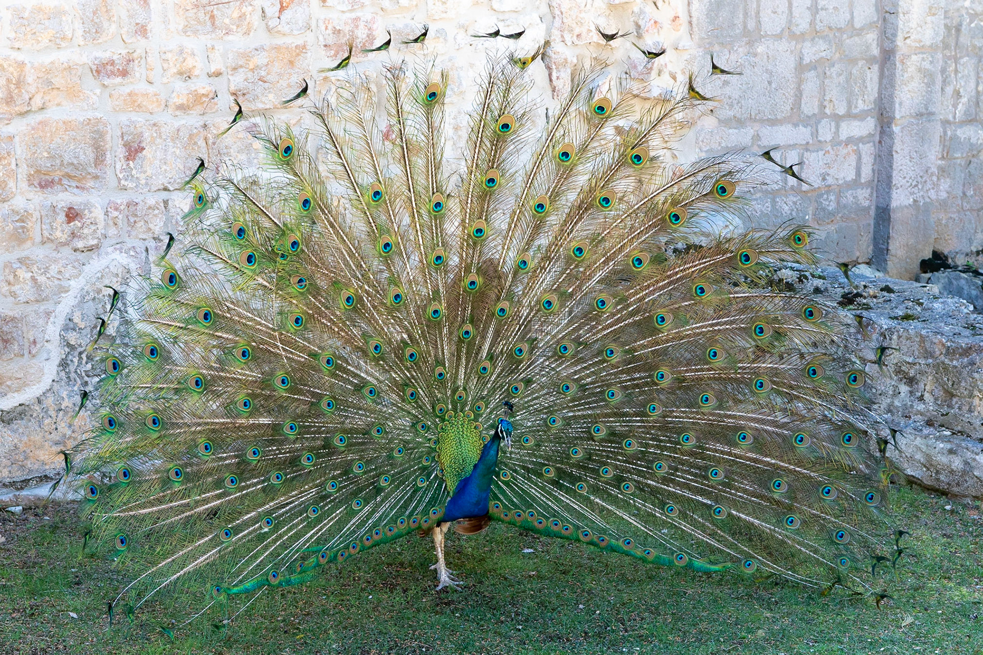 © 2022 Billy Hodgkins Photography All rights reserved.