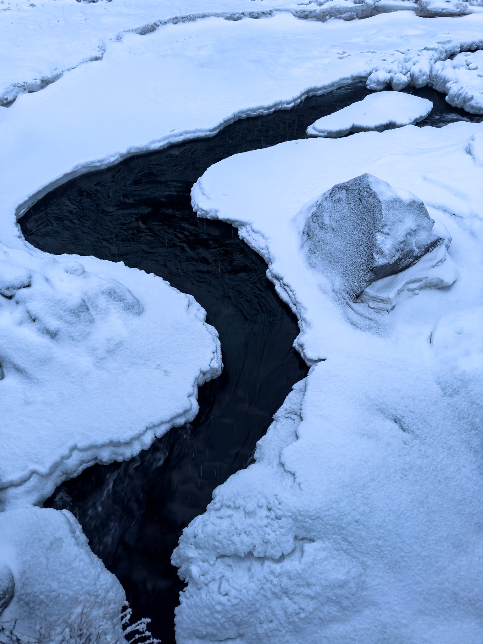 © 2024 Billy Hodgkins Photography All rights reserved.