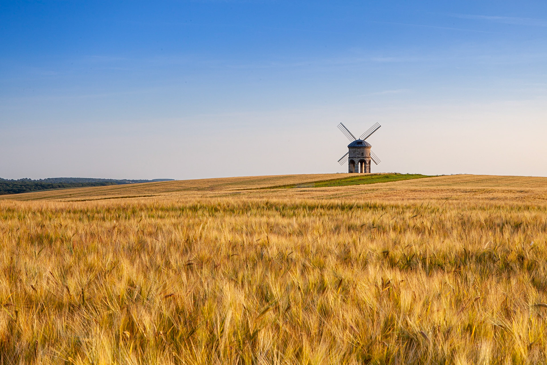 © 2019 Billy Hodgkins Photography All rights reserved.