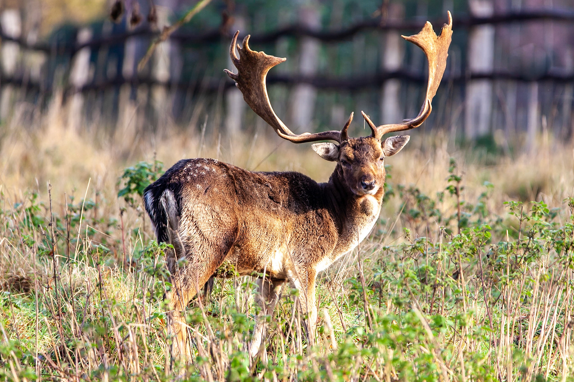 © 2019 Billy Hodgkins Photography All rights reserved.