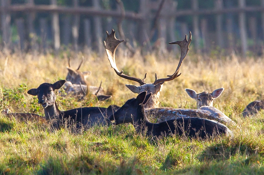 © 2019 Billy Hodgkins Photography All rights reserved.