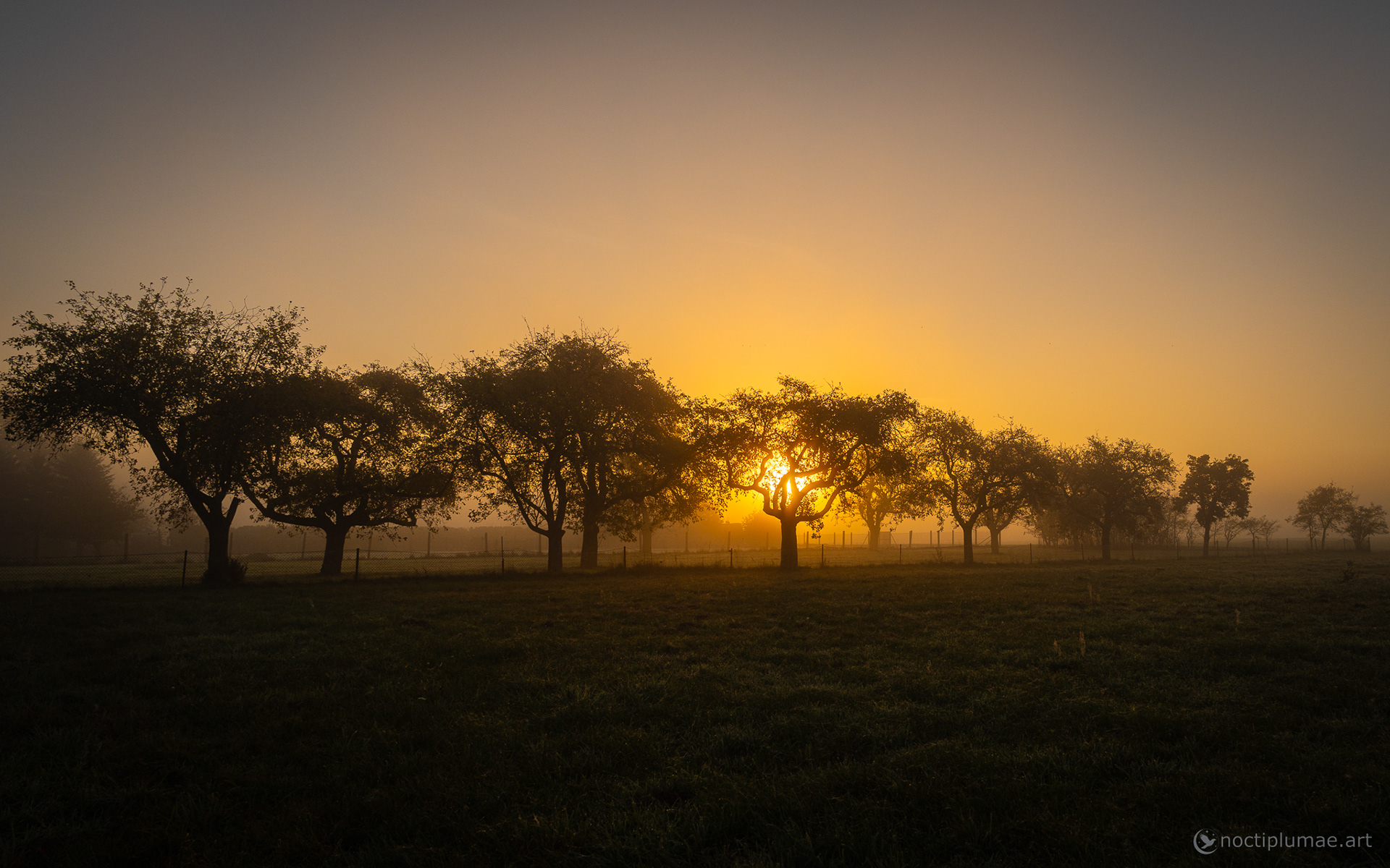 Desert feeling in the morning