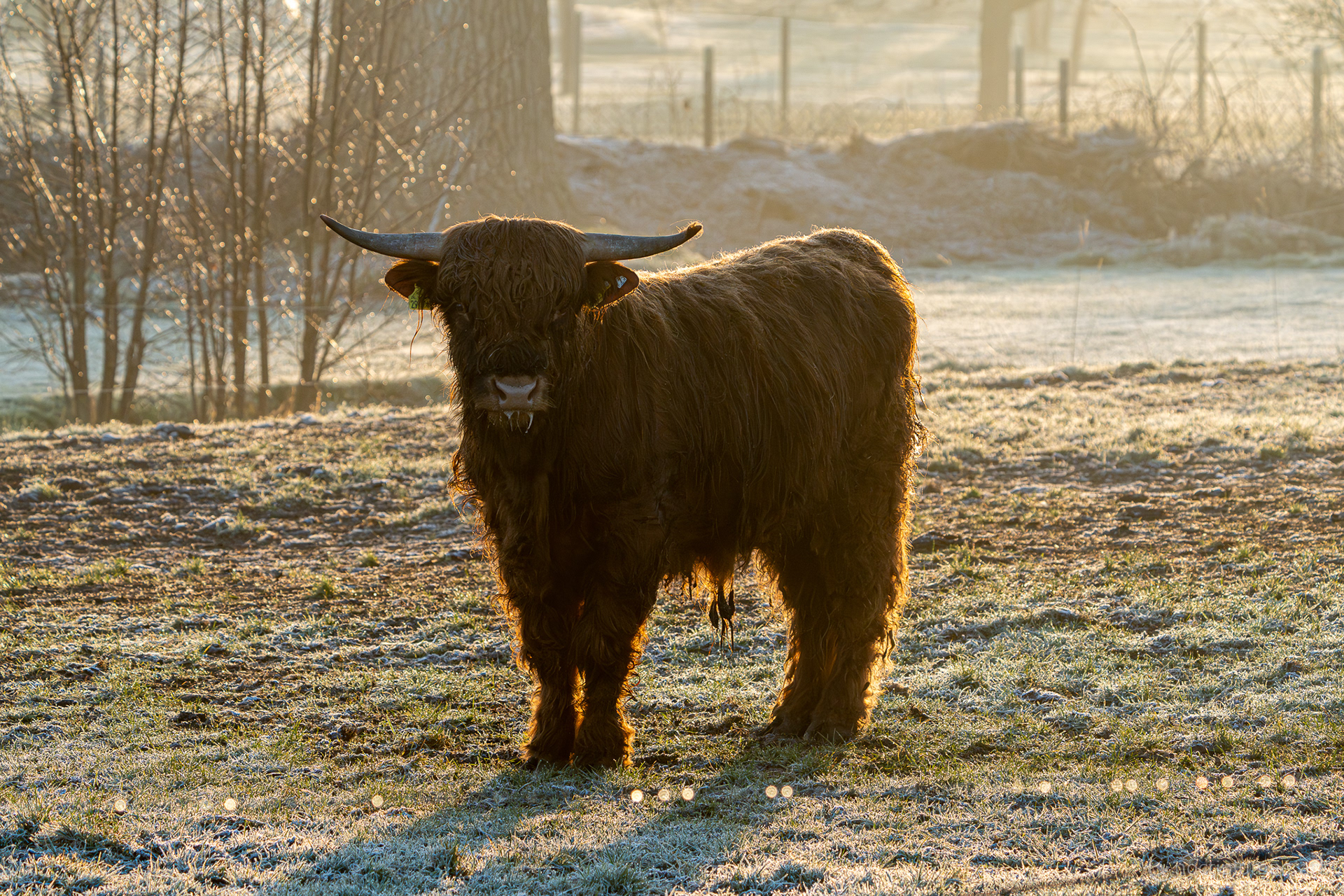 Hey, my name ist Ray.