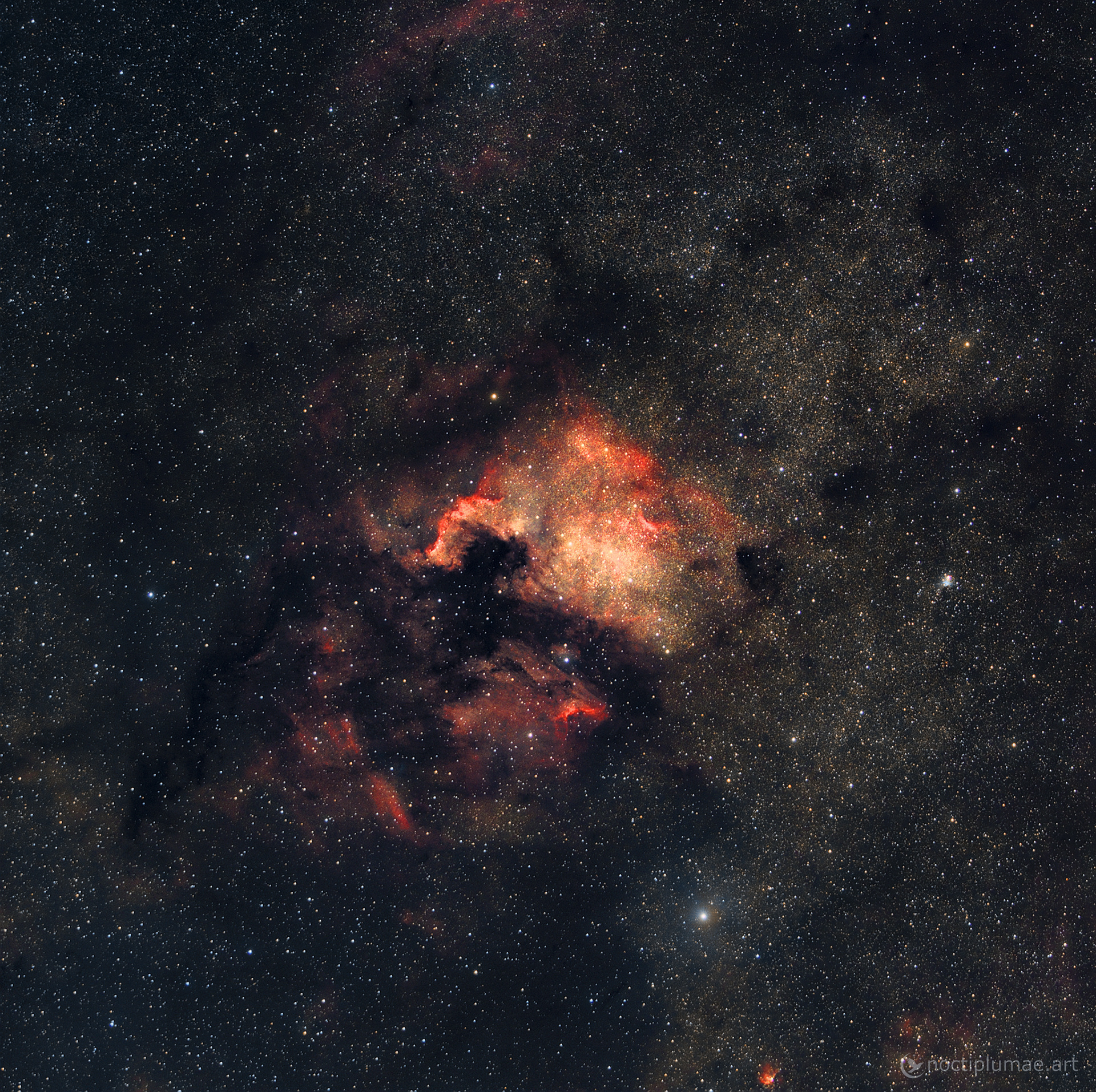 NGC7000 North America Nebulae