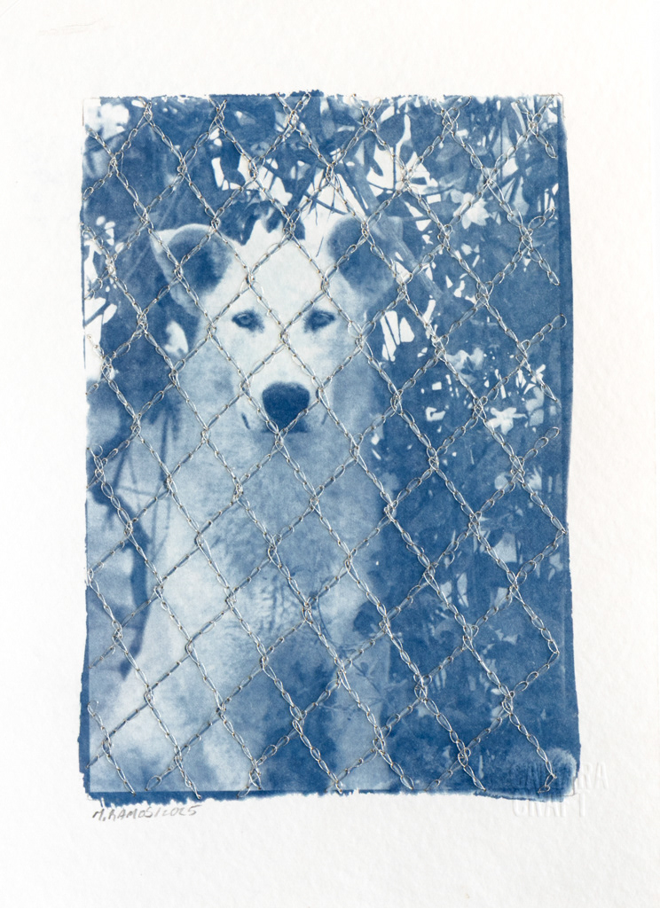 Vigilante. Cianotipia sobre papel y bordado con hilo metálico.