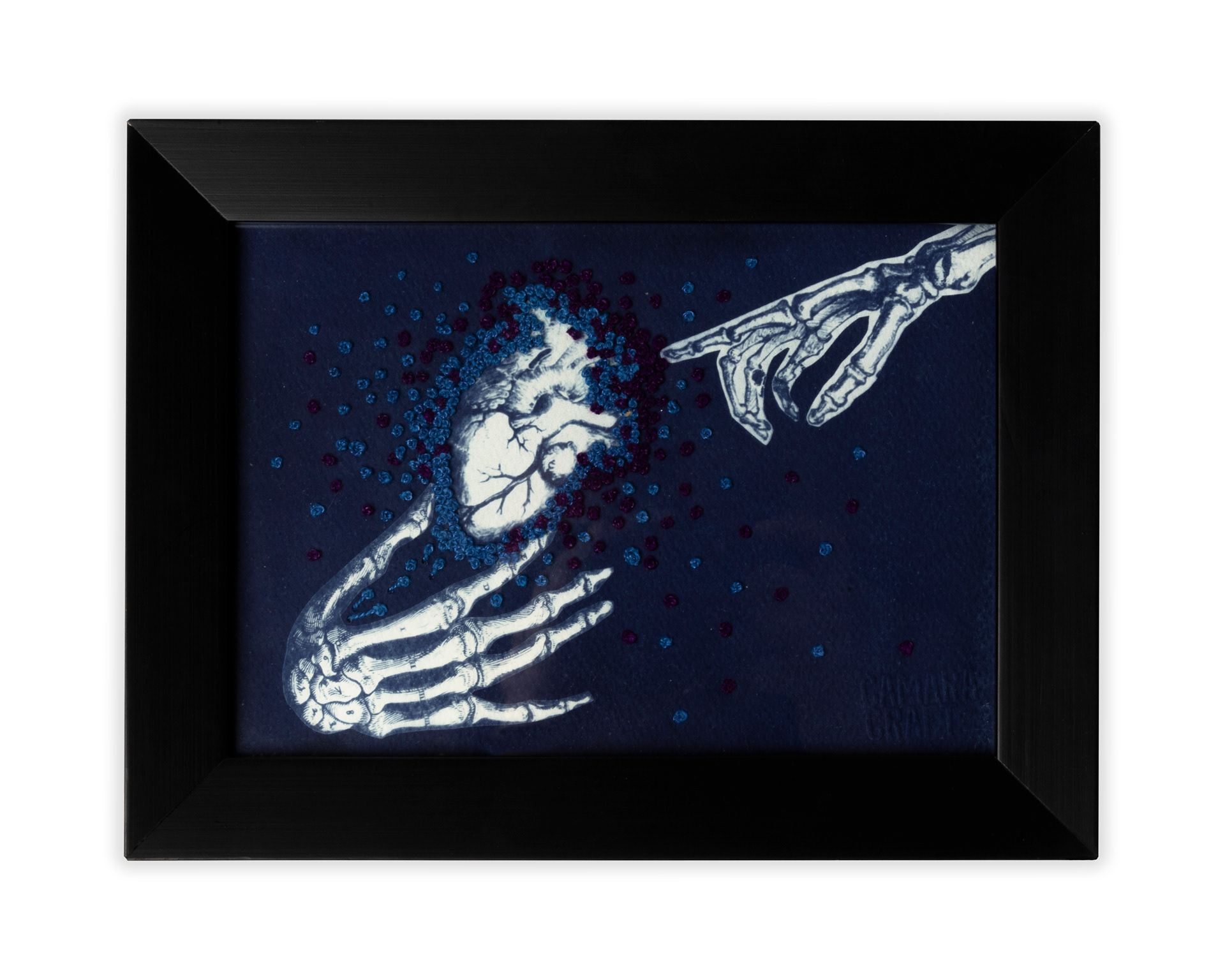 Intercambio. Cianotipia sobre papel y bordado.