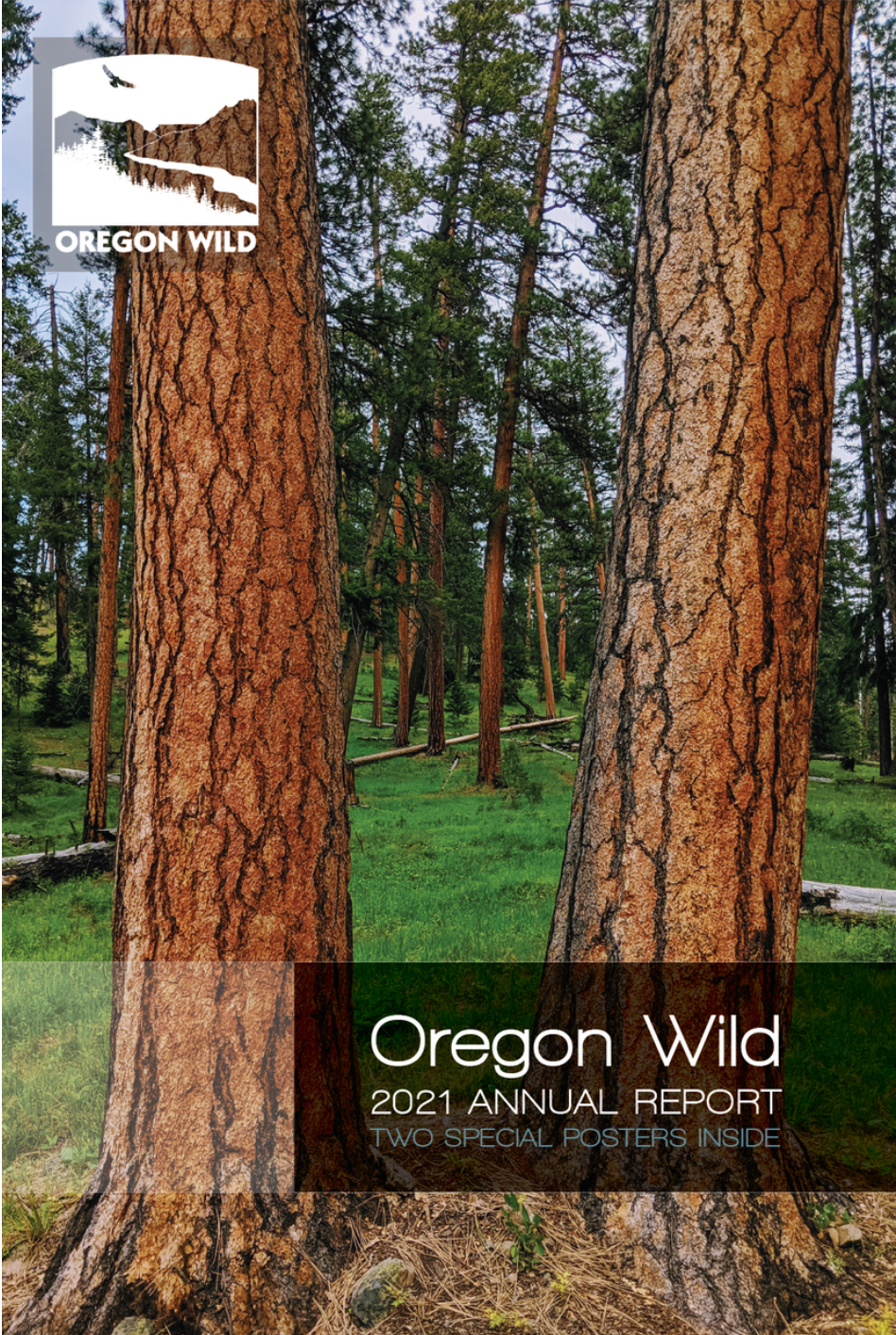This is a photo of a Ponderosa Pine (a red-orange pine) with grass and other trees in the background. There is a title that says "Oregon Wild 2021 Annual Report."