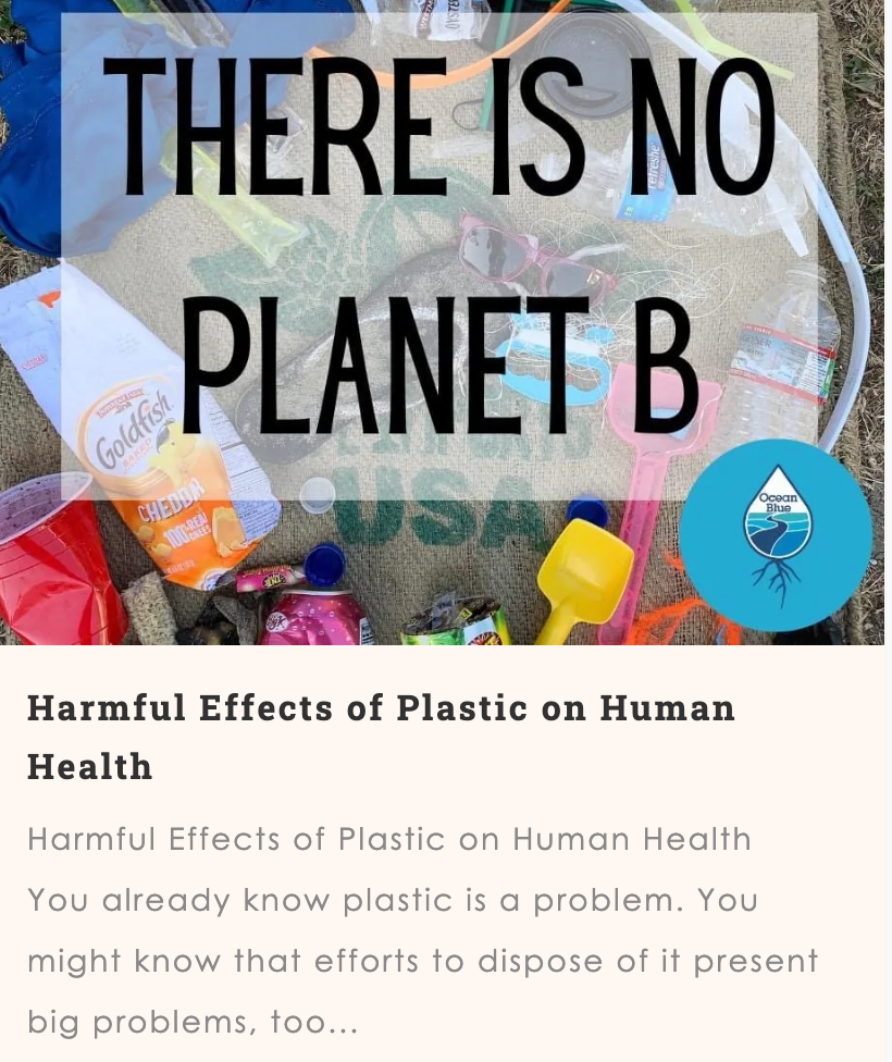 "Harmful Effects of Plastic on Human Health" Blog with Ocean Blue Project. Link: https://oceanblueproject.org/harmful-effects-of-plastic-on-human-health/