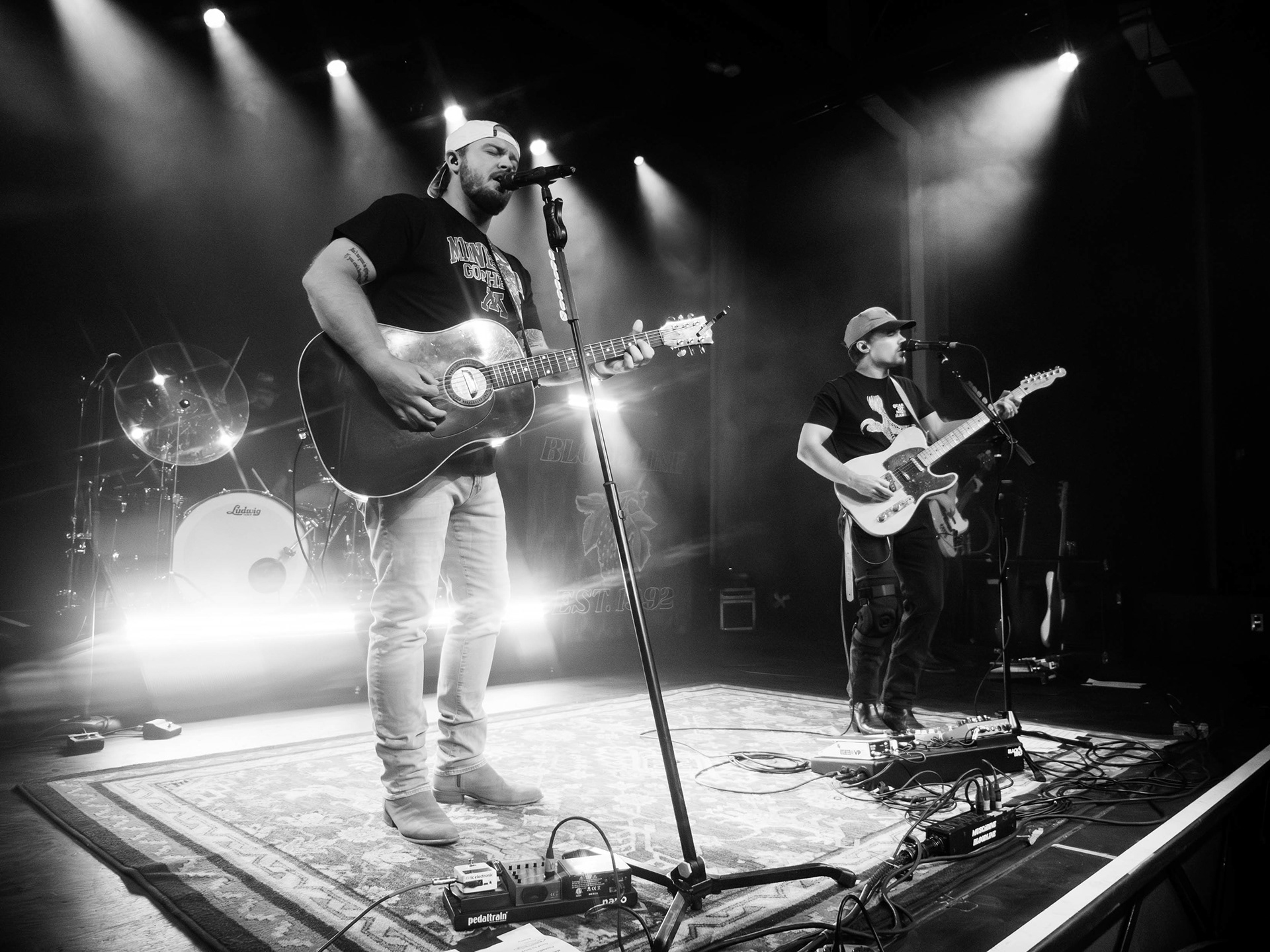 Muscadine Bloodline