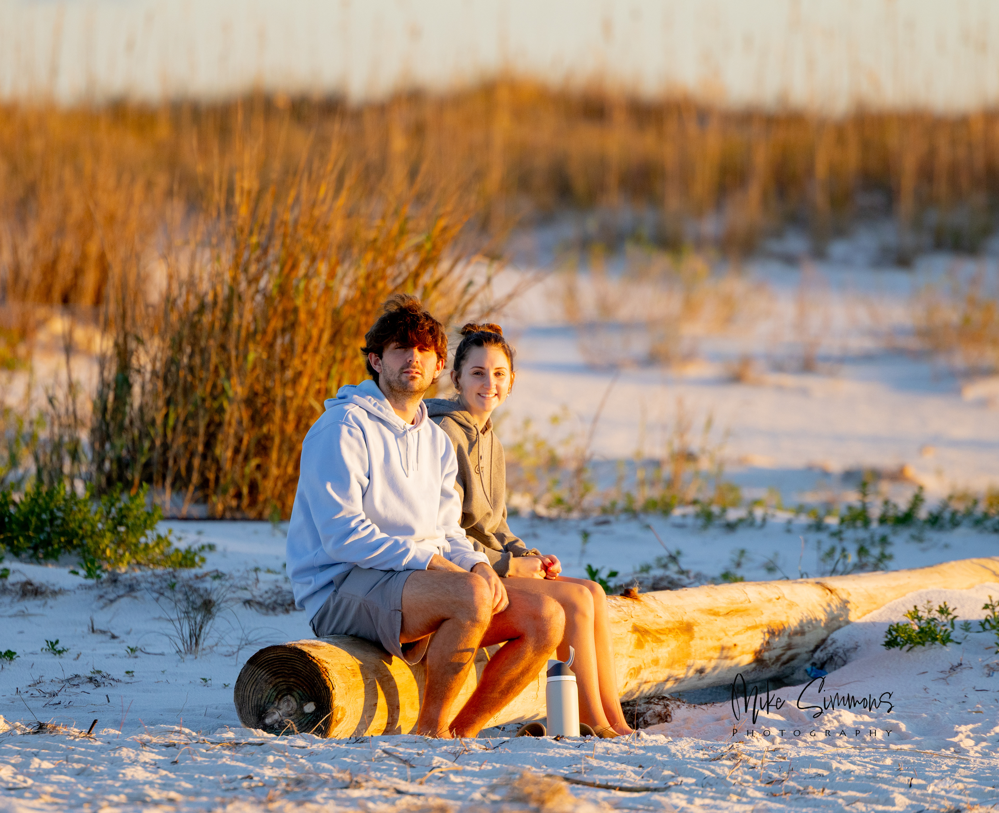 Chilling on driftwood at Pensacola Beach, FL