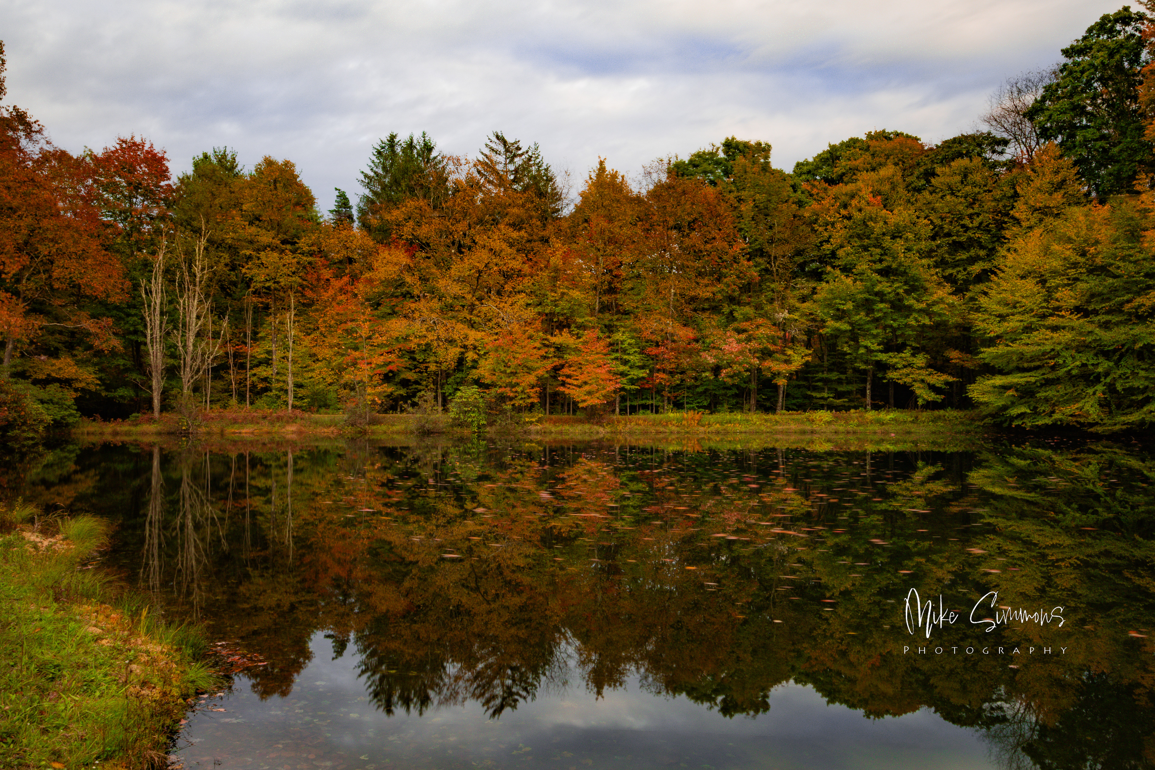Fall shot of a pond taken in Terra Alta, WV