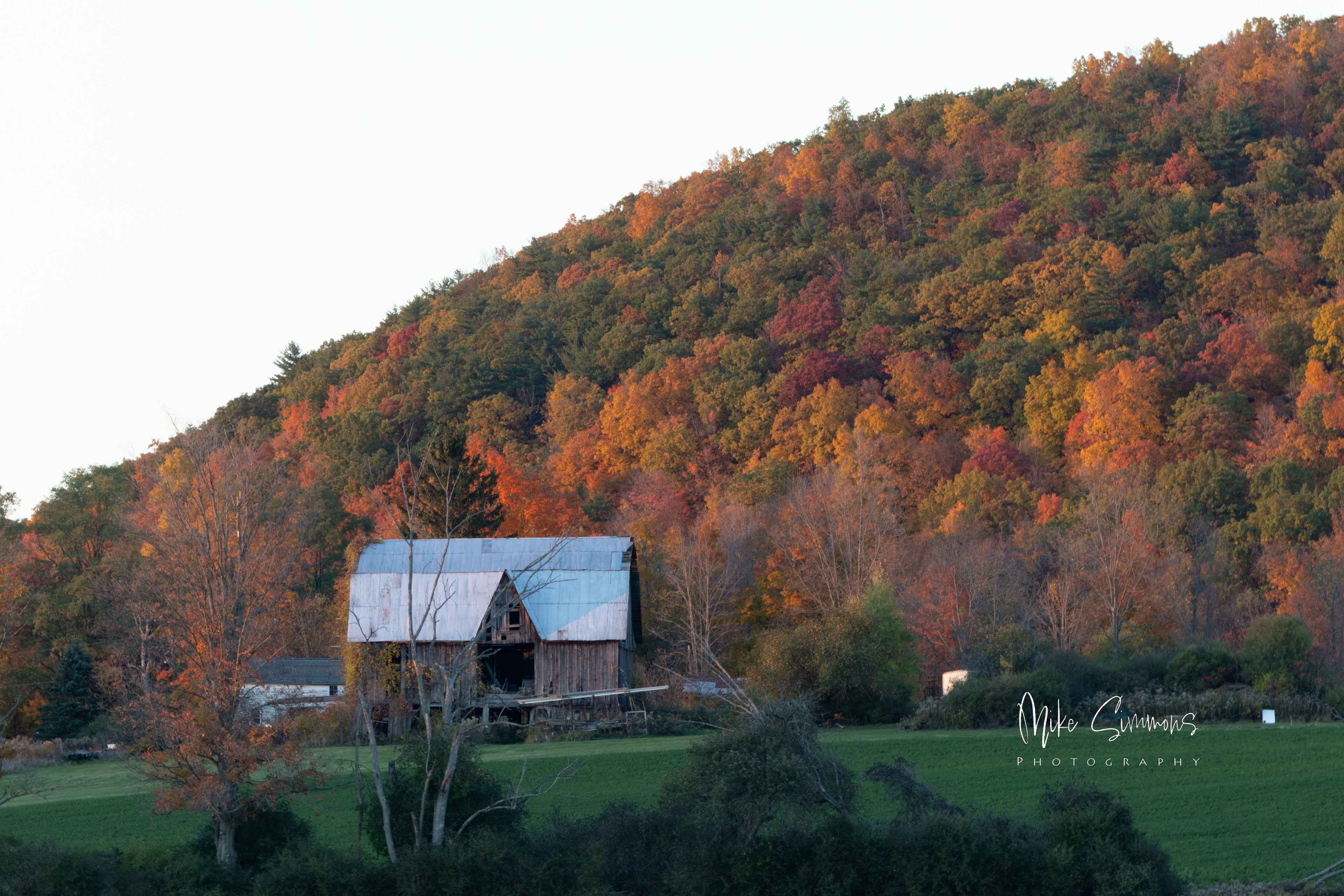 Corning, NY