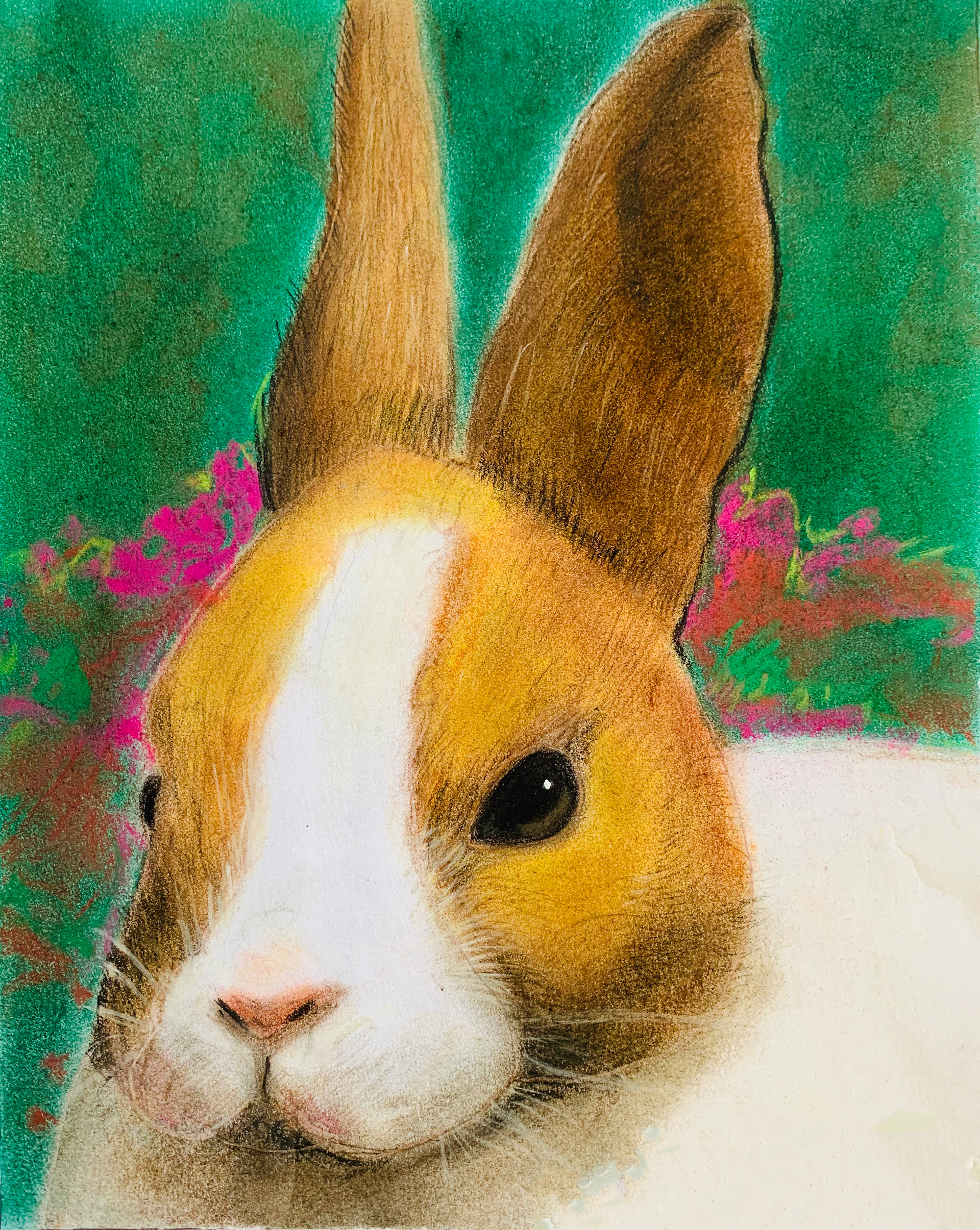 "RABBIT"