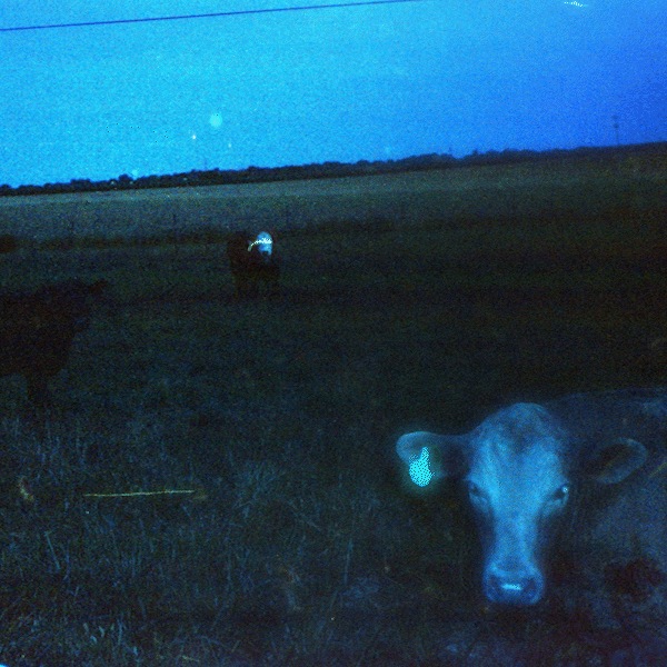 waveform* "Antarctica" via Run For Cover Records