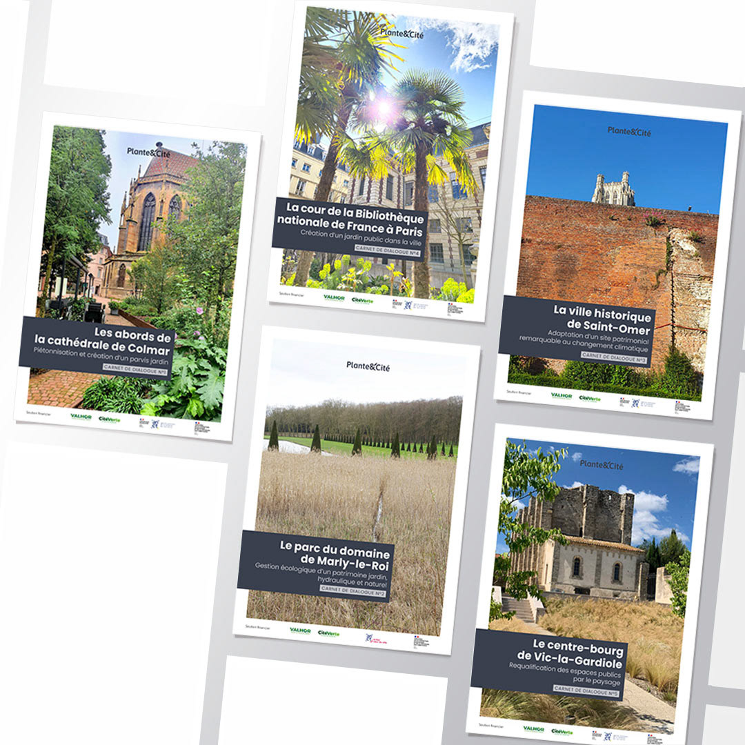 Collection "Carnet de dialogue", comprenant 5 documents