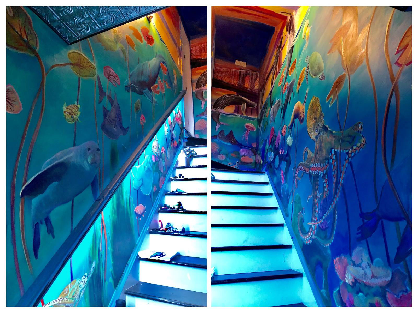 Aquatic Mural Atlanta. 2018