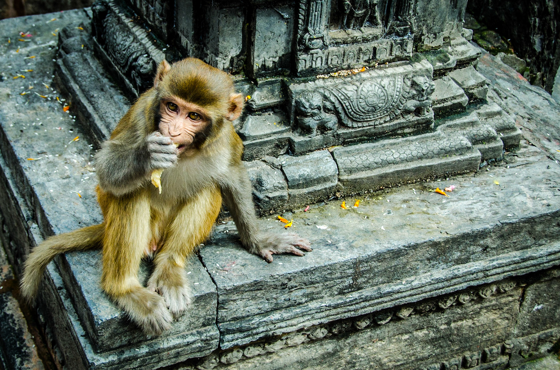 Swayambhunath