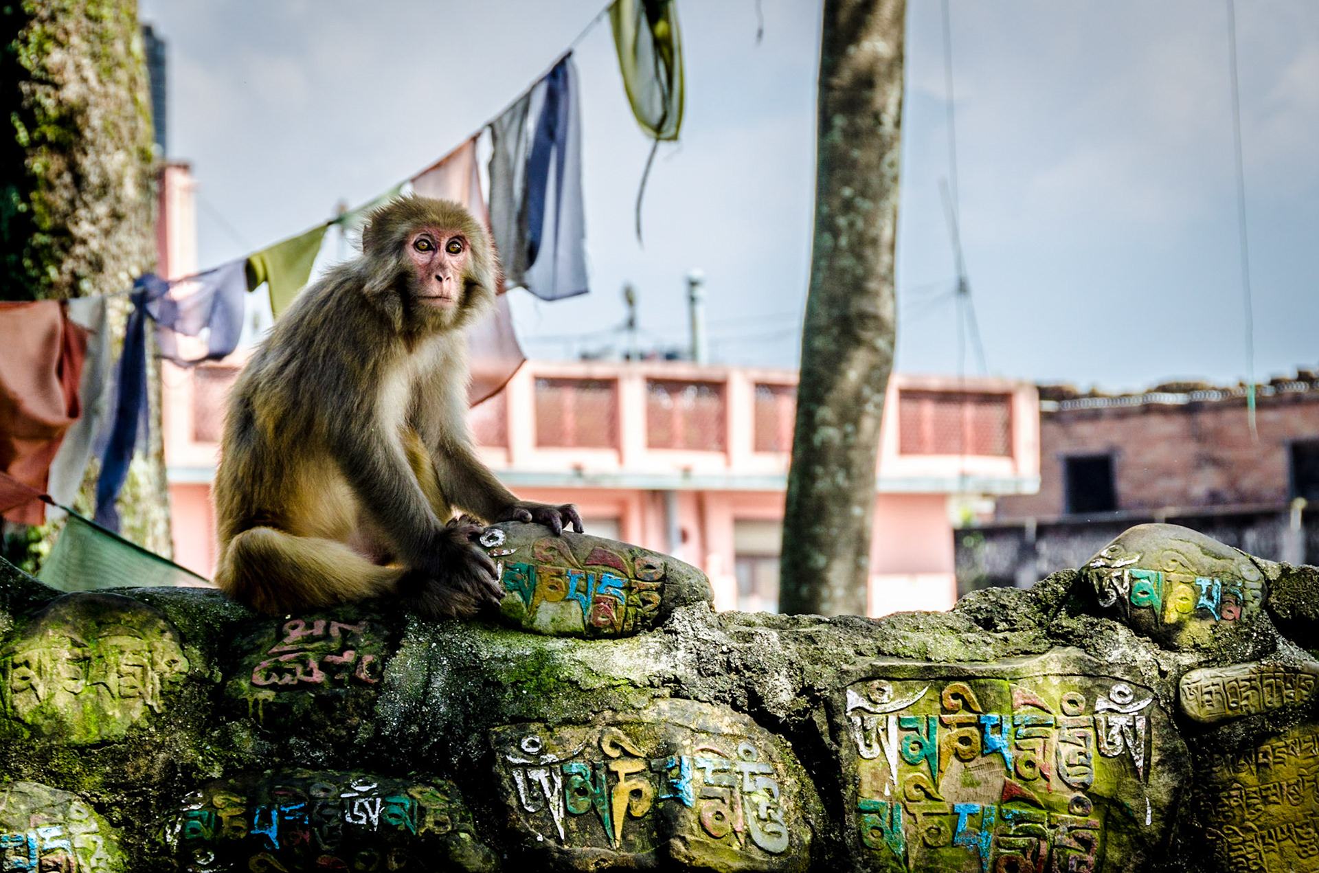 Swayambhunath
