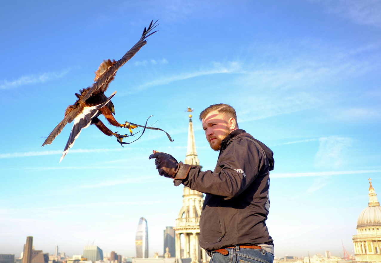 Falconer, London