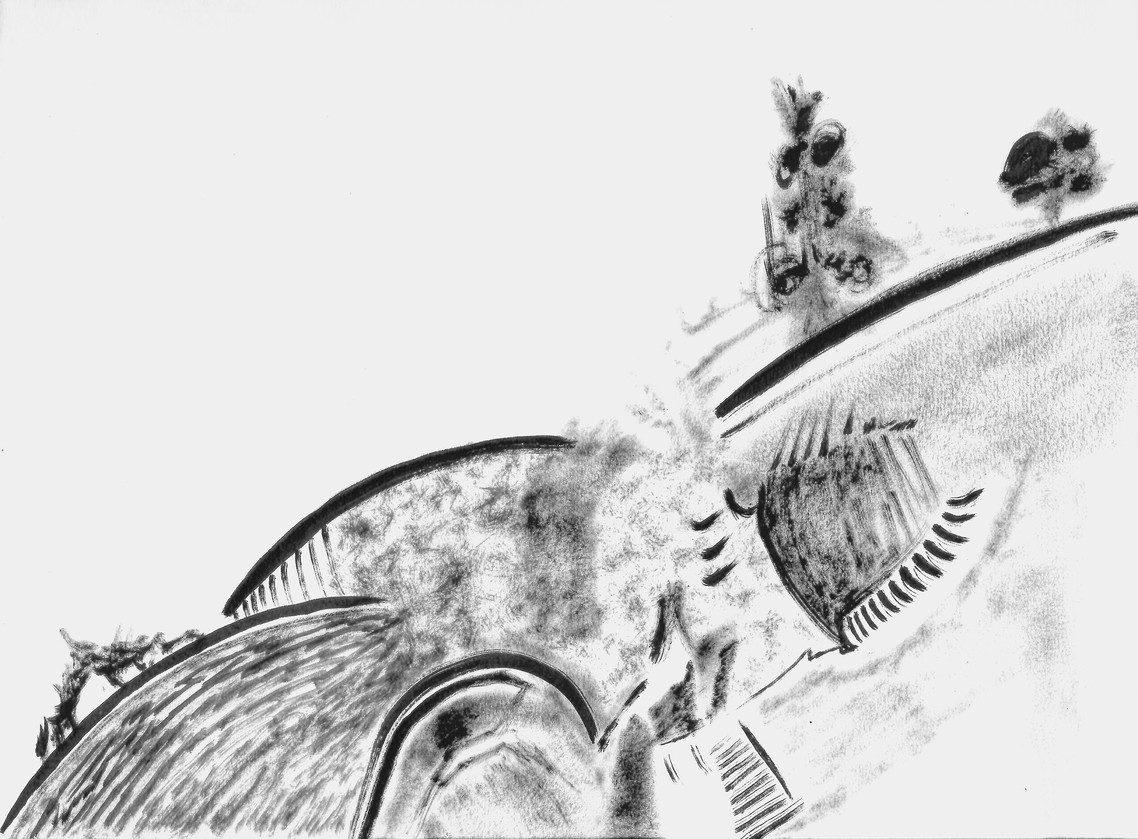 trees, ink on paper, 2019