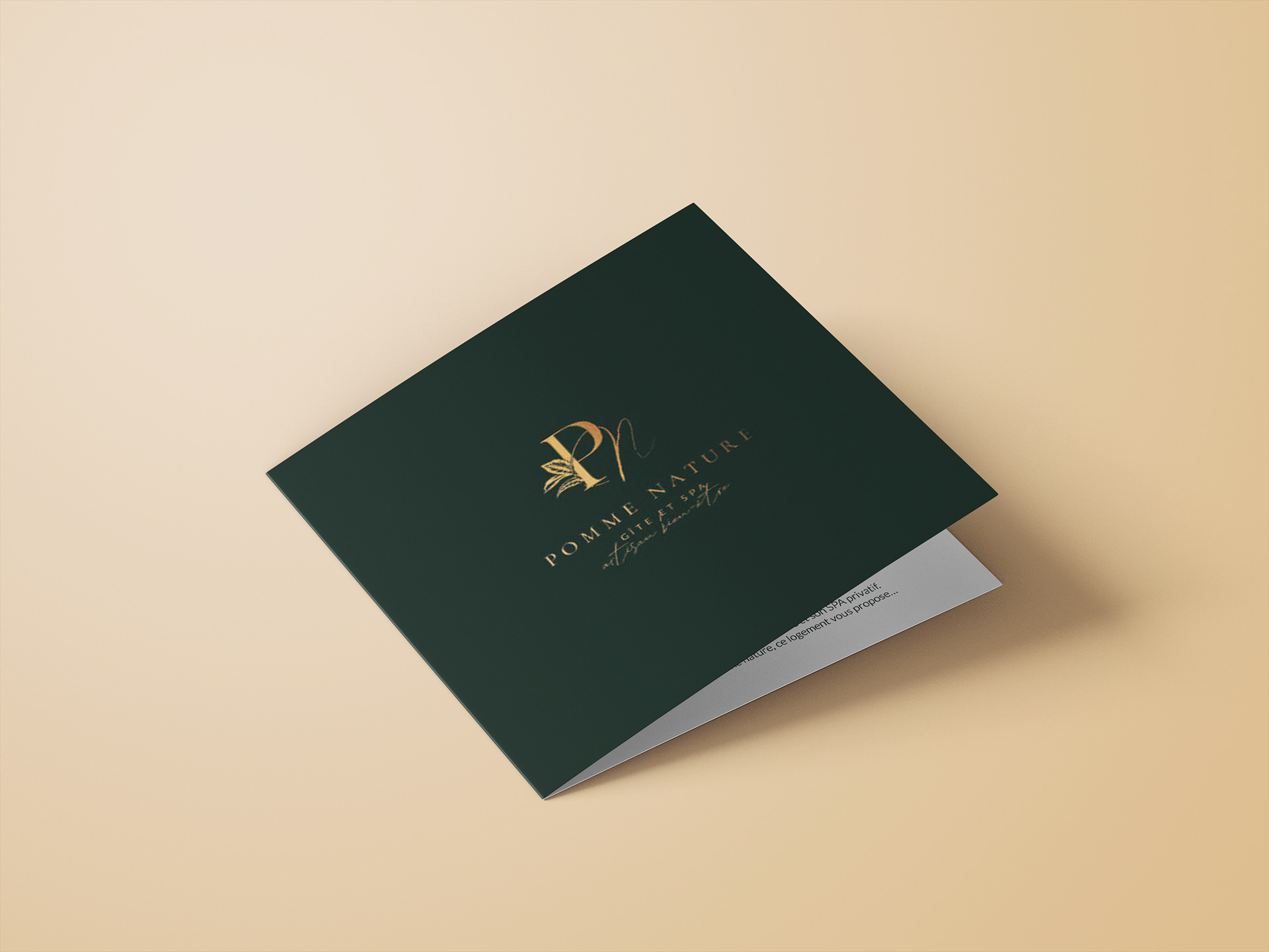 Brochure