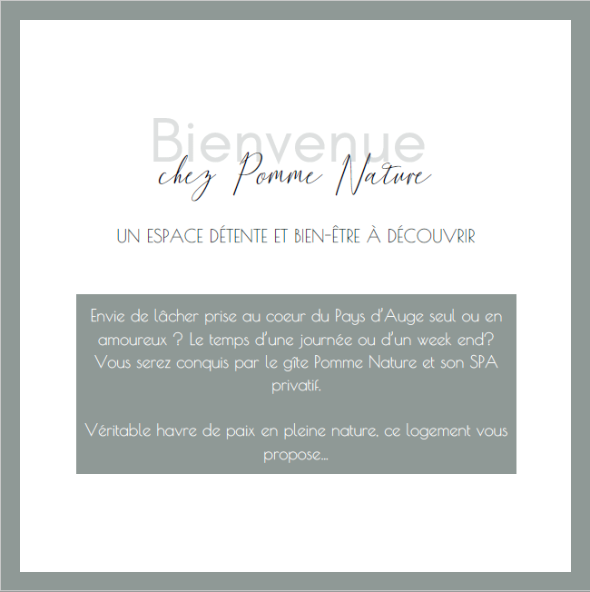Ancienne version (avant)