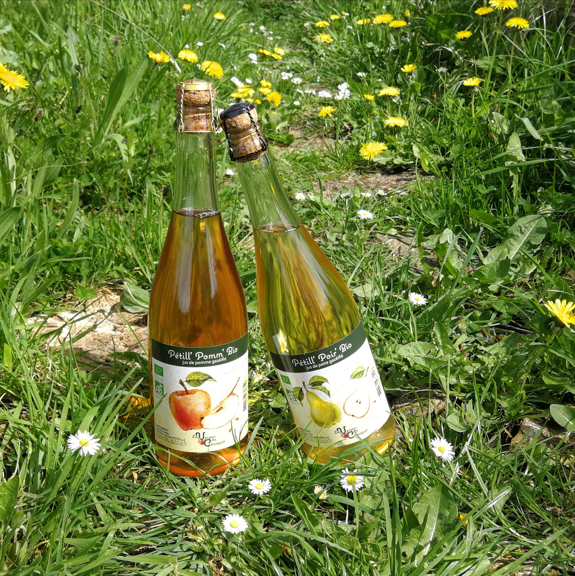 Jus de pomme et de poire pétillants