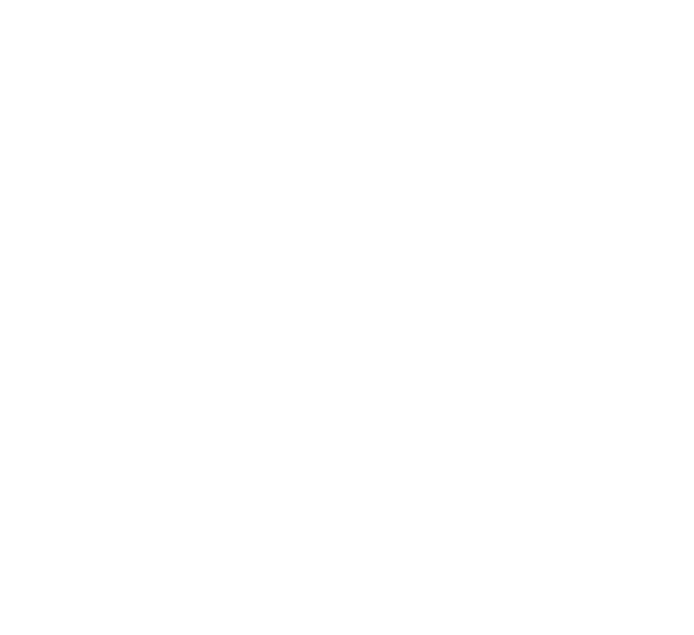 Brandi Lopez