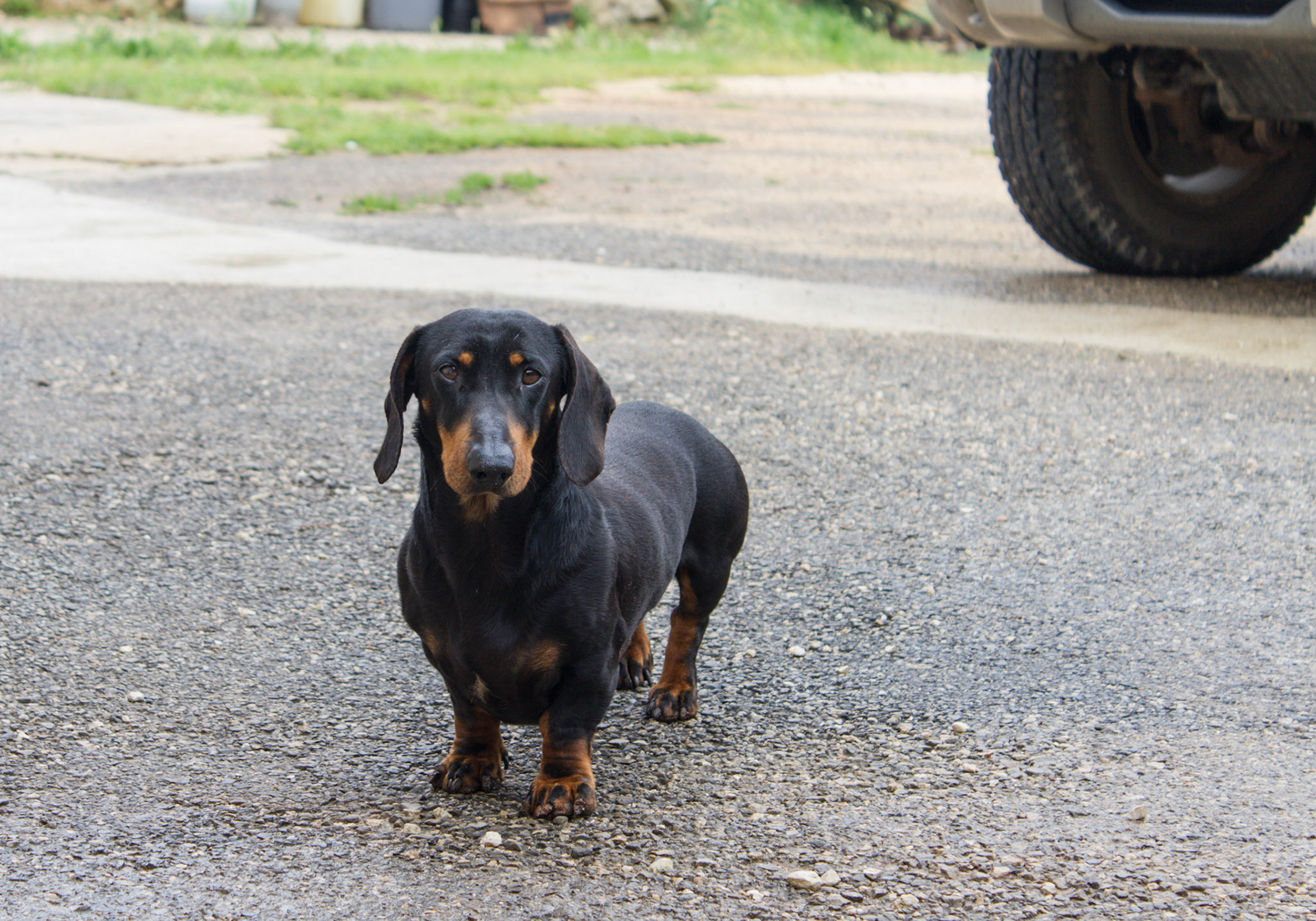 Urlaub Pfingsten 2013: Istrien
